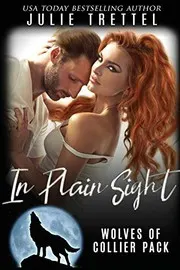 Cover of In Plain Sight