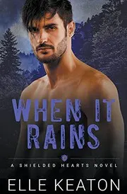 Cover of When it Rains