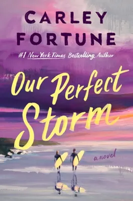 Cover of Our Perfect Storm